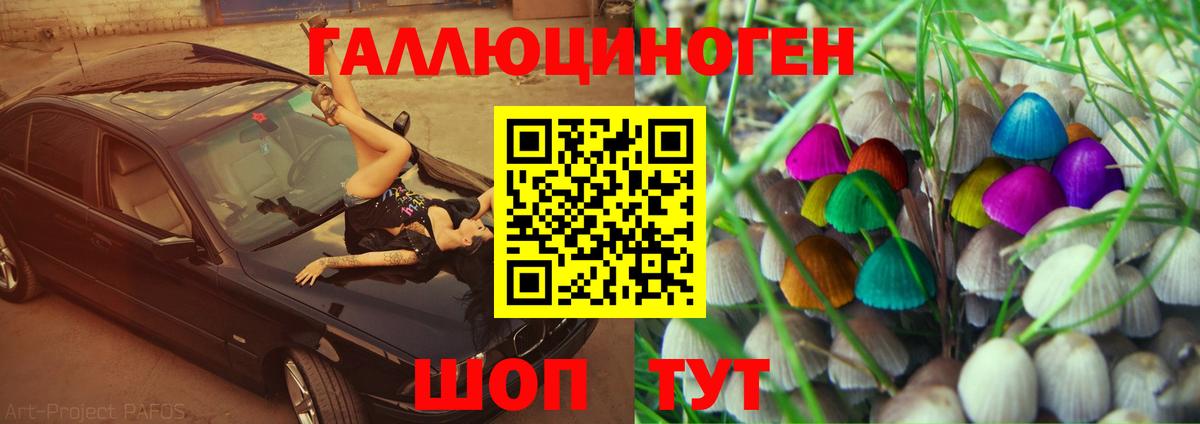 Галлюциногенные грибы MAGIC MUSHROOMS  Вход с VPN  Кстово 